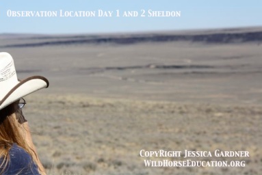 Observation location Sheldon Day 1