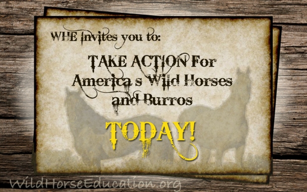 "Wild Horse Wednesday" Invitation to ACTION